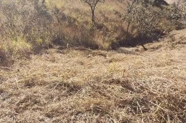 Terreno Rural à venda, Ville Saint James II, Campo Limpo Paulista - TE0197.