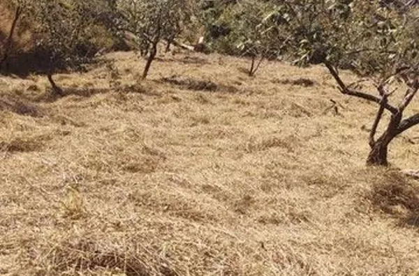 Terreno Rural à venda, Ville Saint James II, Campo Limpo Paulista - TE0197.