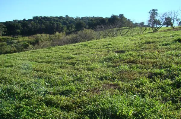 Área à venda no bairro Fim do Campo - Jarinu/SP