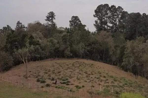 Terreno Rural à venda, Guacuri, Itupeva - TE0131.