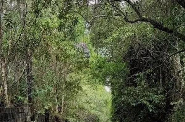 Terreno Rural à venda, Guacuri, Itupeva - TE0131.