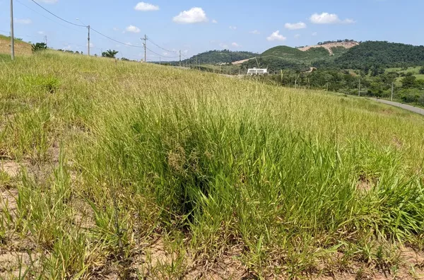 Terreno á venda no  condomínio Reserva Santa Mônica -Itupeva /SP