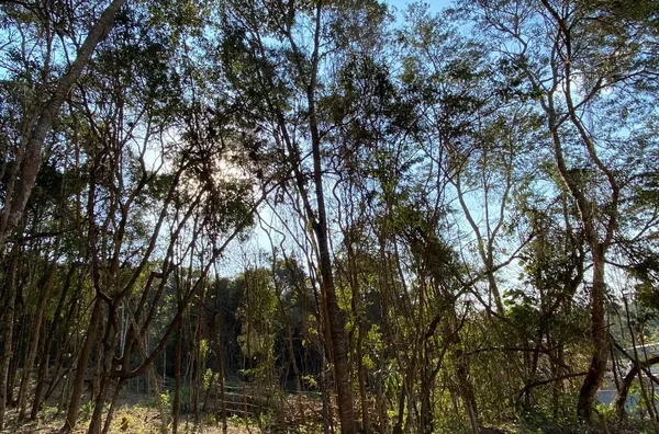 Terreno á venda Estancia Yporanga- JARINU/SP