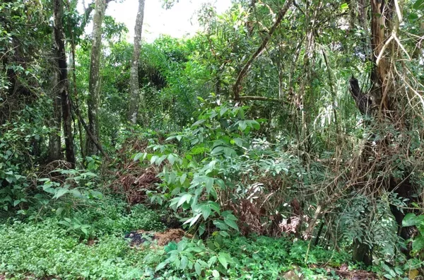 Terreno á venda,  Maracanã, Jarinu
