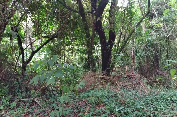 Terreno á venda,  Maracanã, Jarinu
