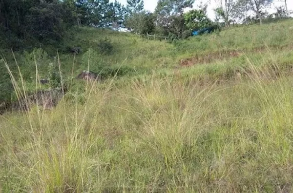 Terreno Rural à venda, Tijuco Preto, Jundiaí - TE0040.