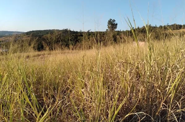 Terreno Rural à venda, Centro, Itupeva - TE0059.