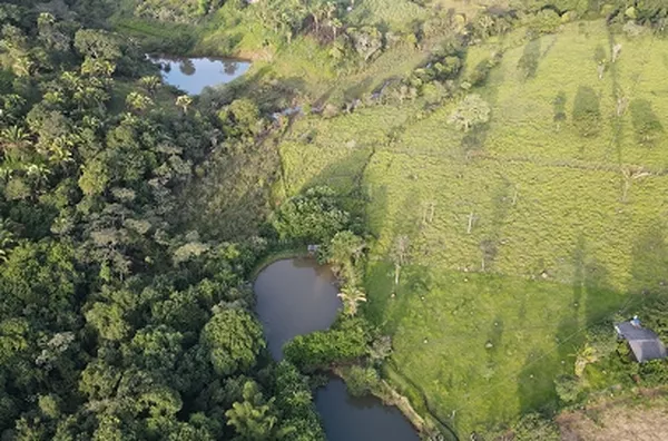 Rural Chácara para venda RURAL Cocalzinho de Goiás