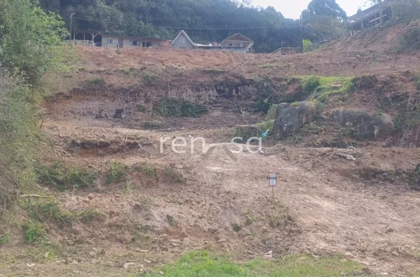 Terreno para venda,  Reolon, Caxias Do Sul