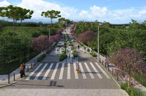 Terreno para venda,  São Gotardo, Flores Da Cunha