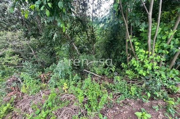 Terreno para venda, São Luiz, Caxias Do Sul