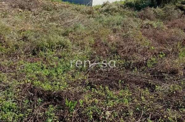 Terreno para venda,  Monte Bérico, Caxias Do Sul