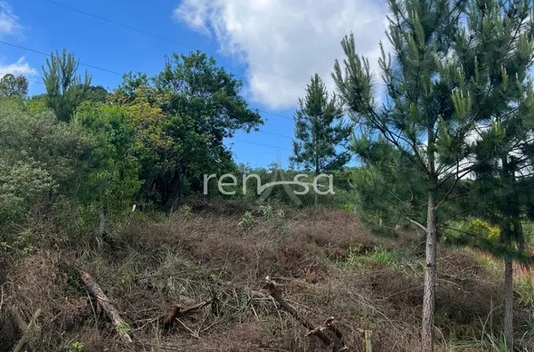 Terreno para venda,  Monte Bérico, Caxias Do Sul