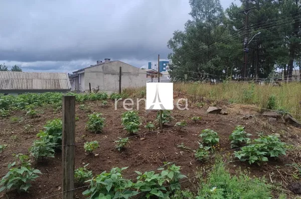 Terreno para venda,  Morada Dos Alpes, Caxias Do Sul