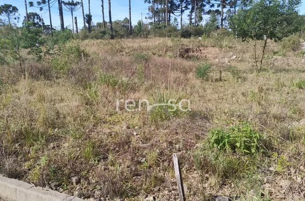 Terreno para venda, Ana Rech, Caxias Do Sul