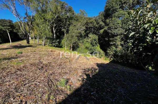 Terreno para venda,  - Selecione - Bairro, Caxias Do Sul - Foto 16