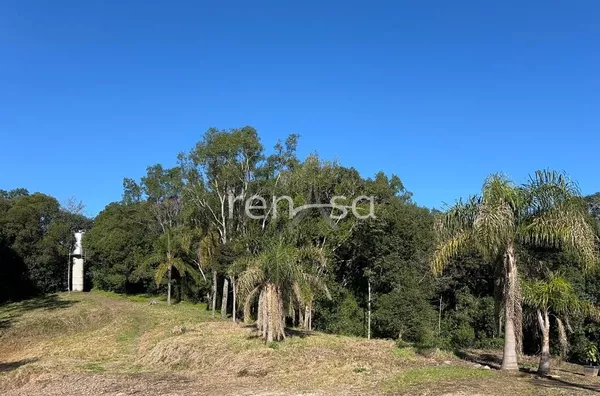 Terreno para venda,  - Selecione - Bairro, Caxias Do Sul - Foto 7
