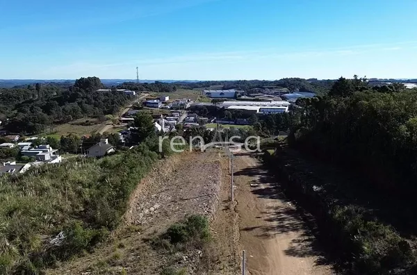Terreno para venda,  São Gotardo, Flores Da Cunha
