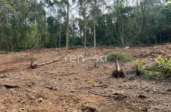 Chácara para venda, Alto Feliz