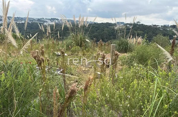 Terreno para venda,  São Luiz, Caxias Do Sul