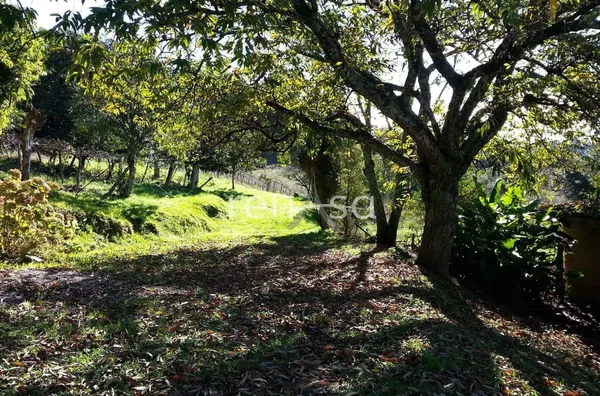 Chácara, Desvio Rizzo, Caxias do Sul