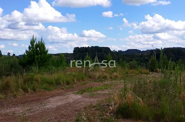Terreno para venda,  Desvio Rizzo, Caxias Do Sul