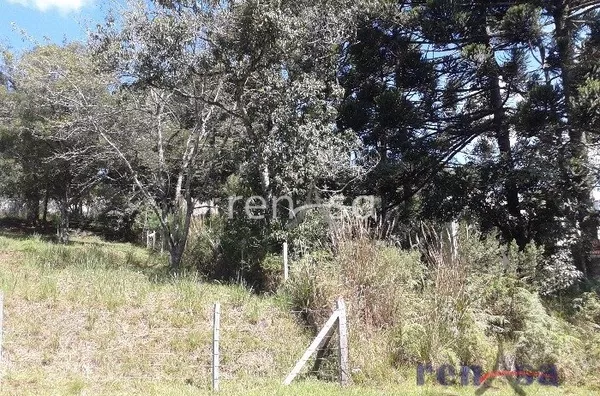 Terreno, Ana Rech, Caxias do Sul