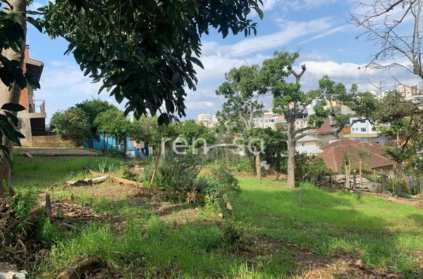 Terreno para venda, Petrópolis, Caxias Do Sul