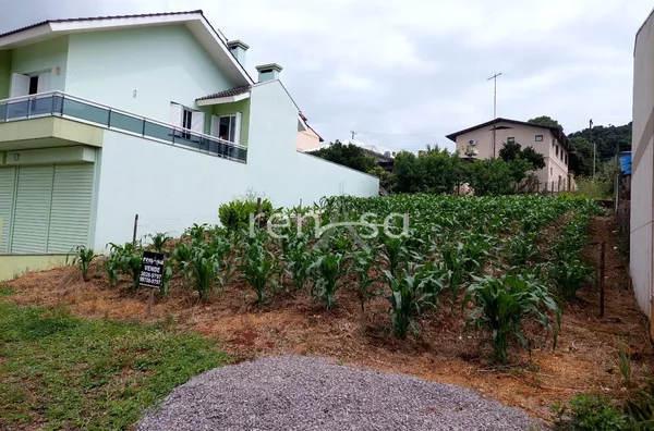 Terreno para venda, Nova Pádua