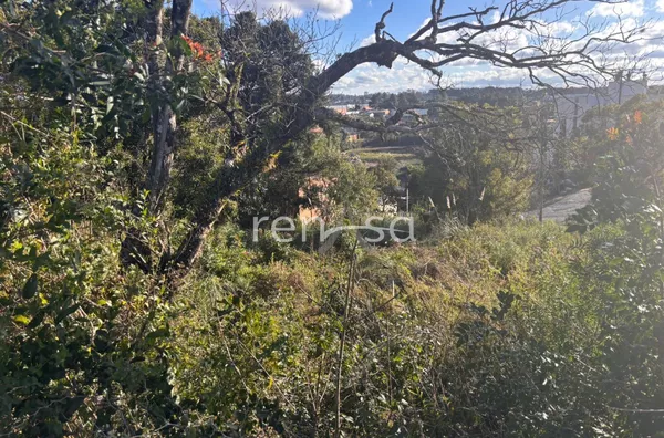 Terreno para venda,  Desvio Rizzo, Caxias Do Sul