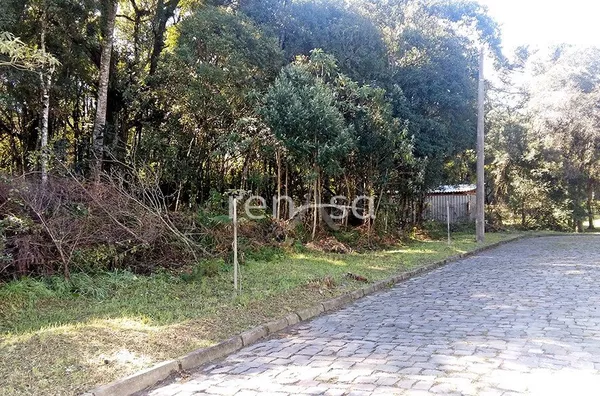 Terreno, Bela Vista, CAXIAS DO SUL