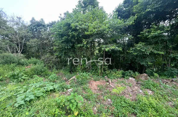 Terreno para venda, São Luiz, Caxias Do Sul