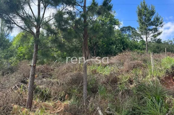Terreno para venda,  Monte Bérico, Caxias Do Sul