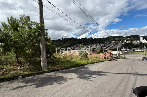 Terreno para venda,  Reolon, Caxias Do Sul
