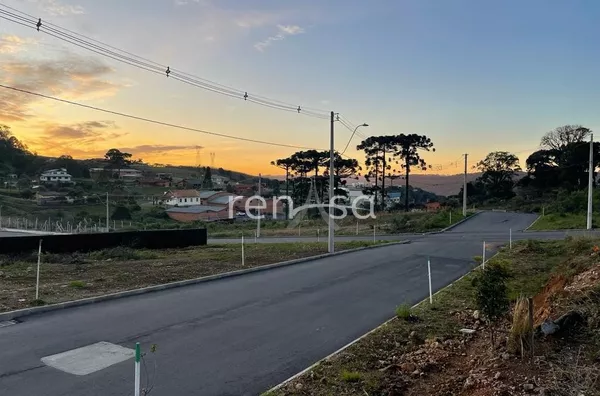 Terreno, Nossa Senhora da Saúde, Caxias do Sul - Foto 5