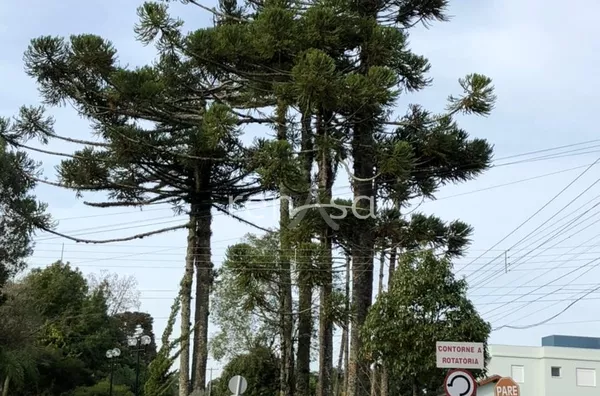 Terreno em Condominio fechado para venda,  Pedancino, Caxias Do Sul