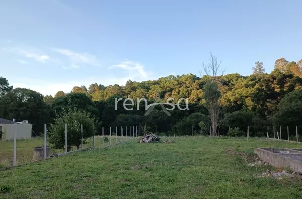 Terreno para venda,  Monte Bérico, Caxias Do Sul