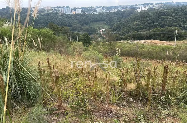 Terreno para venda,  São Luiz, Caxias Do Sul