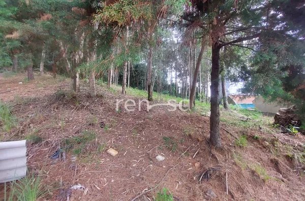 Terreno para venda, Colina Sorriso, Caxias Do Sul