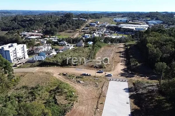 Terreno para venda,  São Gotardo, Flores Da Cunha - Foto 7