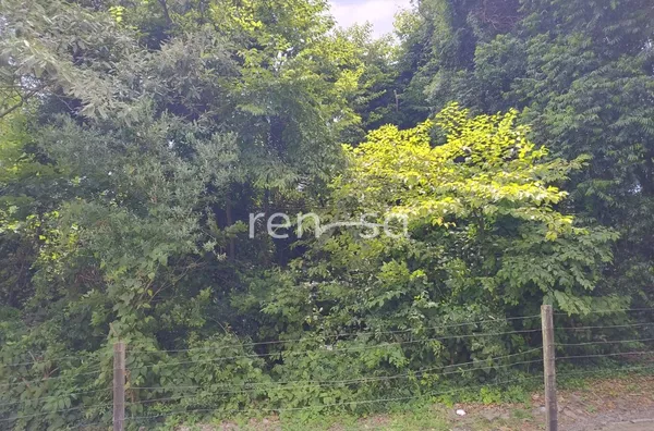 Terreno para venda,  Panazzolo, Caxias Do Sul