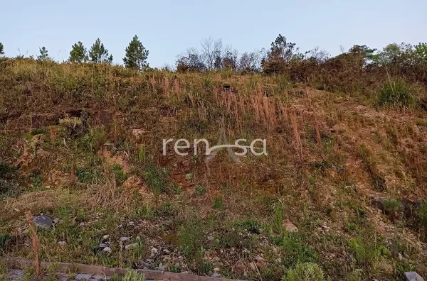 Terreno para venda,  Ana Rech, Caxias Do Sul