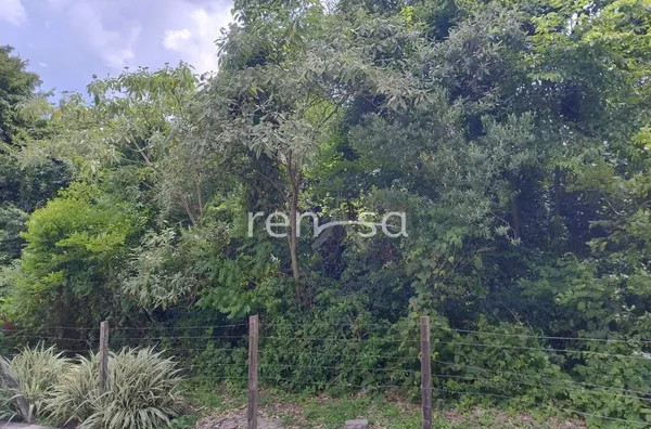 Terreno para venda,  Panazzolo, Caxias Do Sul