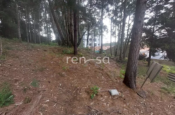 Terreno para venda, Colina Sorriso, Caxias Do Sul