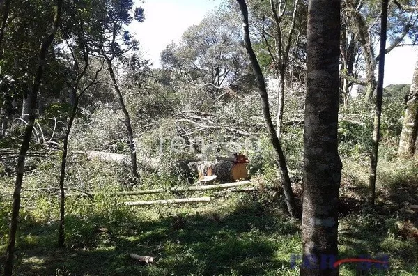 Terreno, Ana Rech, Caxias do Sul