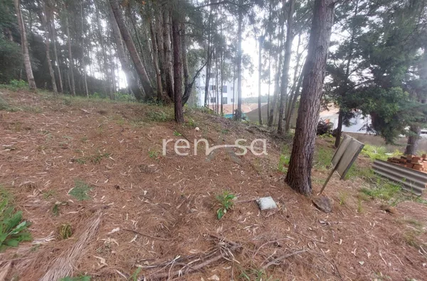 Terreno para venda, Colina Sorriso, Caxias Do Sul