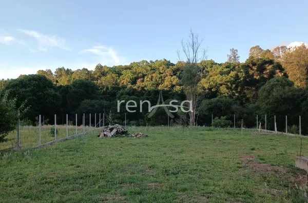 Terreno para venda,  Monte Bérico, Caxias Do Sul