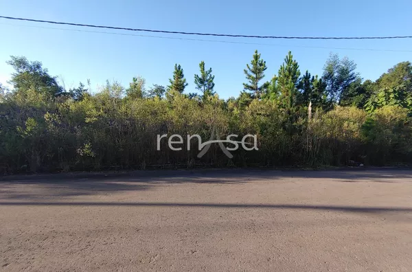 Terreno, Bela Vista, Caxias do Sul