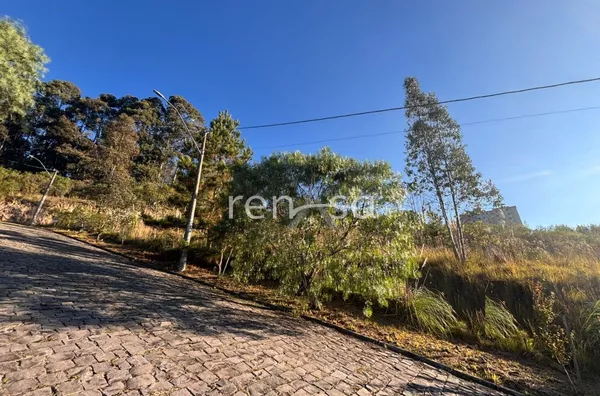 Terreno para venda,  Nossa Senhora Das Graças, Caxias Do Sul