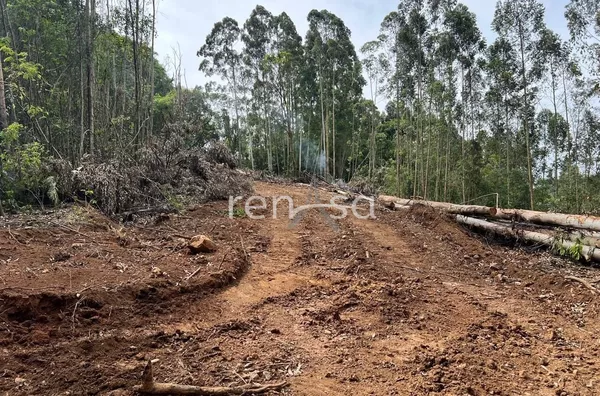 Chácara para venda, Alto Feliz